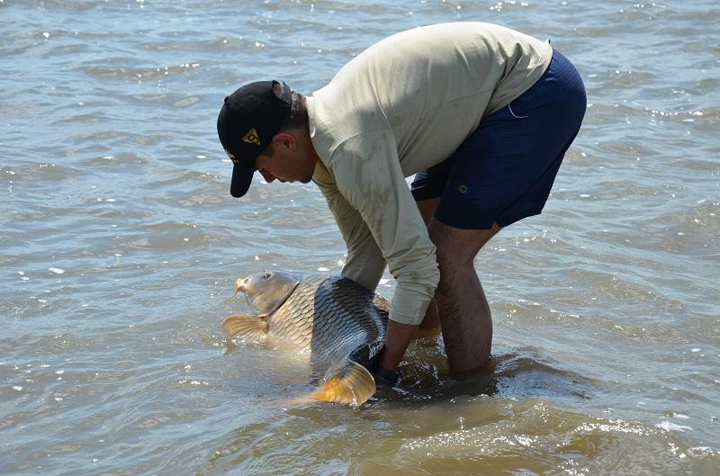 Sarulesti - Mai 2013 - andrei-vladeanu-pescuit-sarulesti-20.JPG